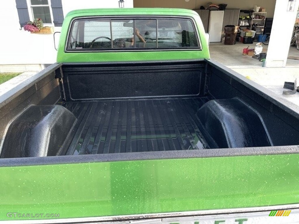 1979 C/K C10 Silverado Regular Cab - Shamrock Green Metallic / Gray photo #8