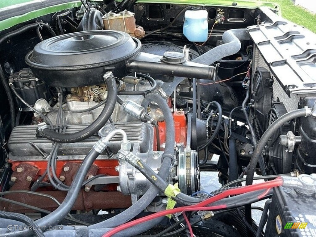 1979 Chevrolet C/K C10 Silverado Regular Cab 5.7 Liter OHV 16-Valve V8 Engine Photo #143546419