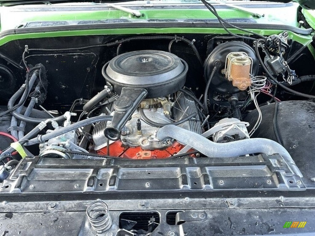 1979 Chevrolet C/K C10 Silverado Regular Cab Engine Photos