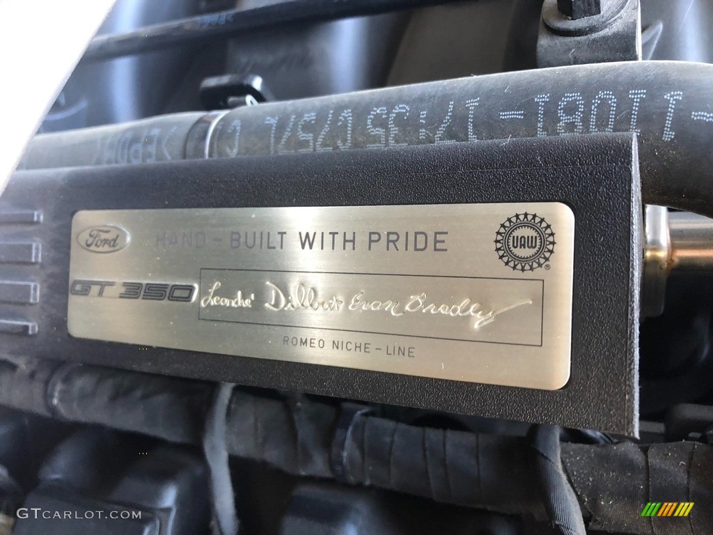 2016 Mustang Shelby GT350 - Magnetic Metallic / Ebony Recaro Sport Seats photo #9