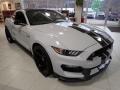 Avalanche Gray 2017 Ford Mustang Shelby GT350 Exterior