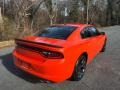 Go Mango - Charger SXT Photo No. 6