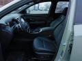 Sage Gray - Santa Cruz Limited Premium AWD Photo No. 11