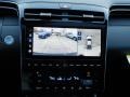 Sage Gray - Santa Cruz Limited Premium AWD Photo No. 17