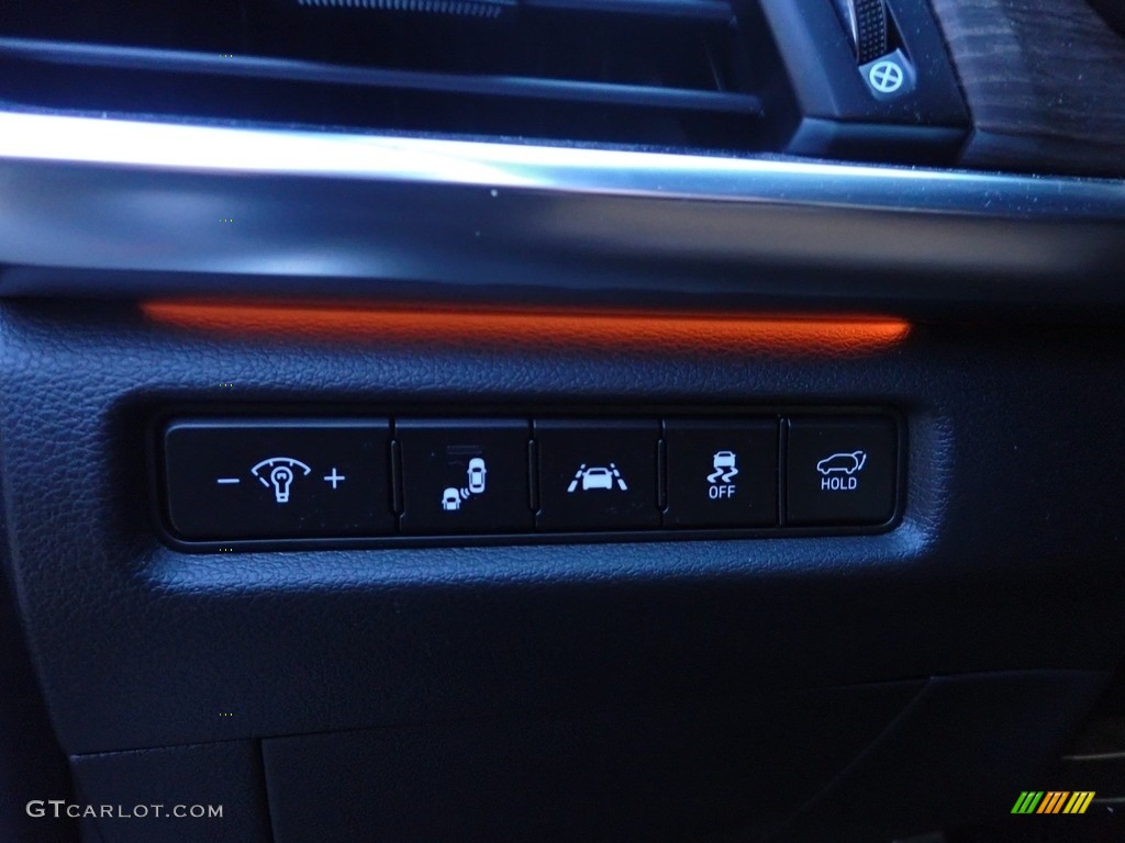 2021 Telluride SX AWD - Black Copper / Dune Brown photo #24
