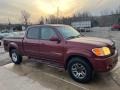 Salsa Red Pearl - Tundra Limited Double Cab 4x4 Photo No. 2