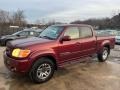 2004 Salsa Red Pearl Toyota Tundra Limited Double Cab 4x4  photo #10