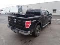 2010 Tuxedo Black Ford F150 XLT SuperCrew 4x4  photo #11