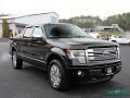 Tuxedo Black - F150 Platinum SuperCrew 4x4 Photo No. 7