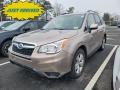 2015 Burnished Bronze Metallic Subaru Forester 2.5i Premium #143585301