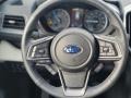 Slate Black Steering Wheel Photo for 2022 Subaru Ascent #143585896