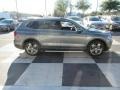 Platinum Gray Metallic - Tiguan S Photo No. 3