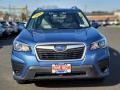 2019 Horizon Blue Pearl Subaru Forester 2.5i Premium  photo #12