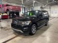 Agate Black 2020 Ford Expedition XLT 4x4