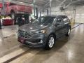 Magnetic - Edge SEL AWD Photo No. 1