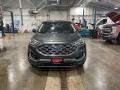Magnetic - Edge SEL AWD Photo No. 2
