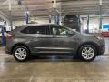 Magnetic - Edge SEL AWD Photo No. 4