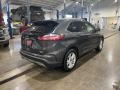 Magnetic - Edge SEL AWD Photo No. 5