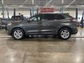 Magnetic - Edge SEL AWD Photo No. 8