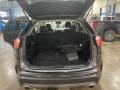 Magnetic - Edge SEL AWD Photo No. 15