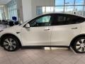 Pearl White Multi-Coat - Model Y Long Range AWD Photo No. 2