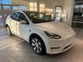 Pearl White Multi-Coat 2021 Tesla Model Y Long Range AWD Exterior