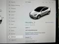 Black Controls Photo for 2021 Tesla Model Y #143609105