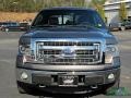 2014 Sterling Grey Ford F150 XLT SuperCrew 4x4  photo #8