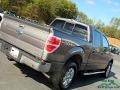 2014 Sterling Grey Ford F150 XLT SuperCrew 4x4  photo #25