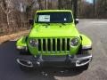 Limited Edition Gecko - Gladiator Overland 4x4 Photo No. 3