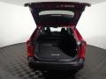 Ruby Flare Pearl - RAV4 XLE Photo No. 16