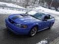 2004 Azure Blue Ford Mustang Mach 1 Coupe  photo #15