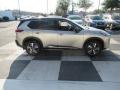 Champagne Silver Metallic - Rogue Platinum AWD Photo No. 3