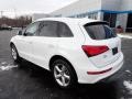 Ibis White - Q5 2.0 TFSI Premium Plus quattro Photo No. 4