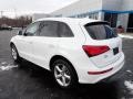 Ibis White - Q5 2.0 TFSI Premium Plus quattro Photo No. 4