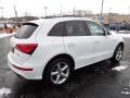 Ibis White - Q5 2.0 TFSI Premium Plus quattro Photo No. 8