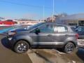 Smoke Metallic - EcoSport S Photo No. 5