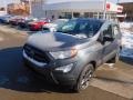 Smoke Metallic - EcoSport S Photo No. 6