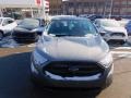 Smoke Metallic - EcoSport S Photo No. 7