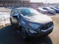 Smoke Metallic - EcoSport S Photo No. 8