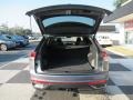 Platinum Gray Metallic - Atlas Cross Sport SE Technology Photo No. 5