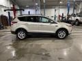 2018 White Gold Ford Escape SE  photo #4