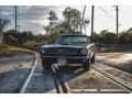 Midnight Blue - Mustang Coupe Photo No. 2