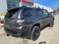 Magnetic Gray Metallic 2022 Toyota 4Runner SR5 Premium 4x4 Exterior