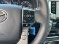 Magnetic Gray Metallic - 4Runner SR5 Premium 4x4 Photo No. 19