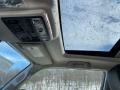 Magnetic Gray Metallic - 4Runner SR5 Premium 4x4 Photo No. 20