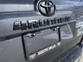 Magnetic Gray Metallic - 4Runner SR5 Premium 4x4 Photo No. 29