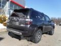 Magnetic Gray Metallic - 4Runner TRD Off-Road 4x4 Photo No. 17