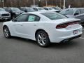 White Knuckle - Charger SXT AWD Photo No. 4