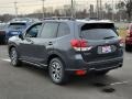 Magnetite Gray Metallic - Forester Premium Photo No. 4